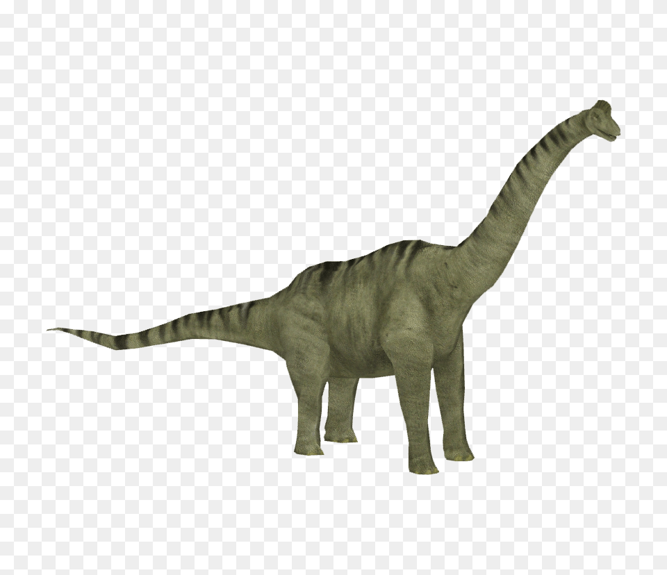 Image, Animal, Dinosaur, Reptile, T-rex Png