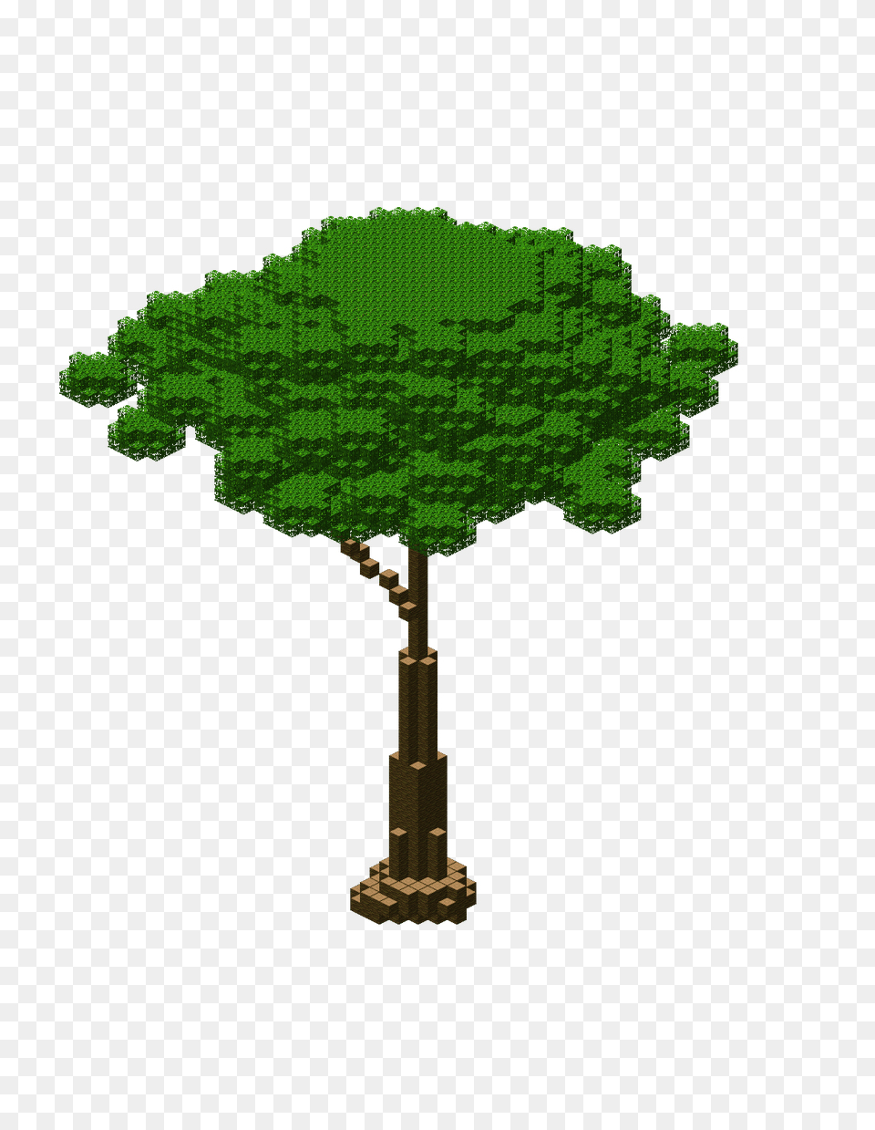 Image, Green, Tree, Plant, Vegetation Png