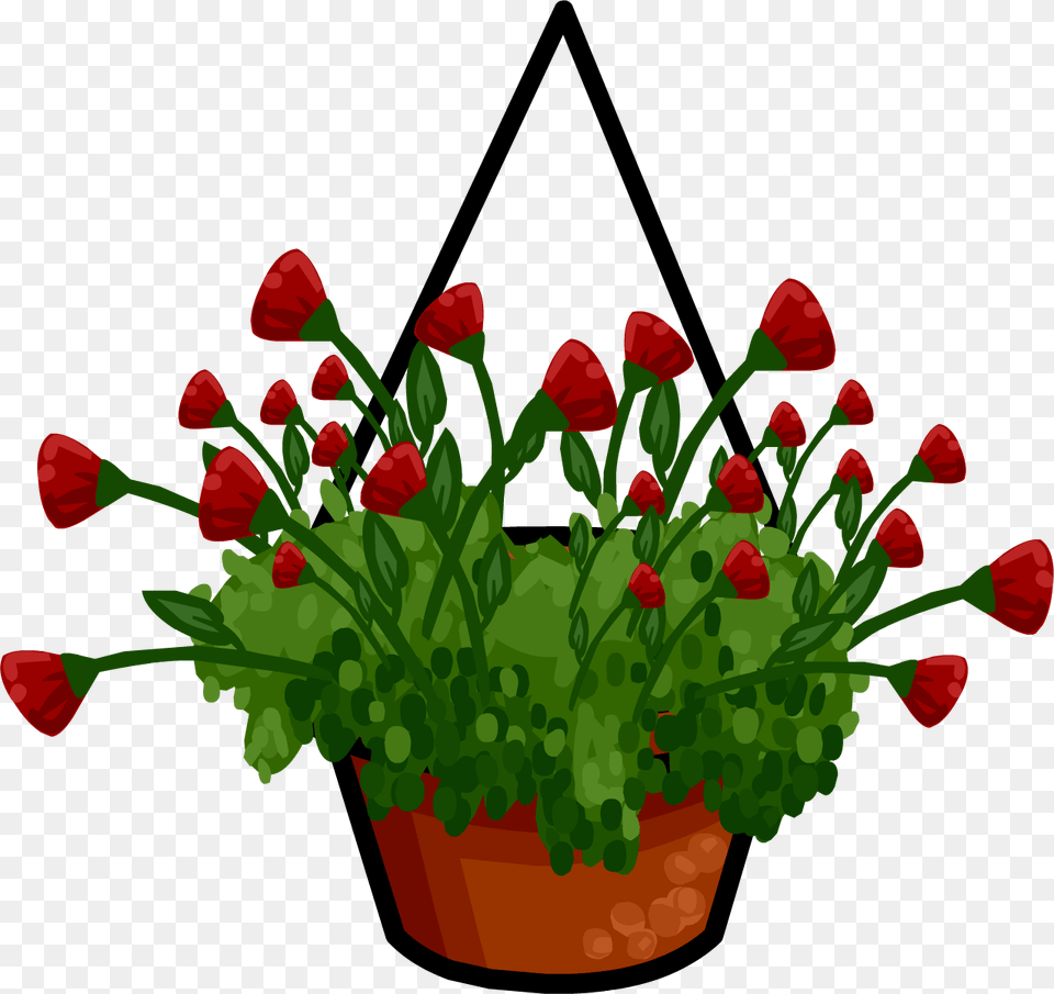 Image, Flower, Potted Plant, Plant, Geranium Free Png Download