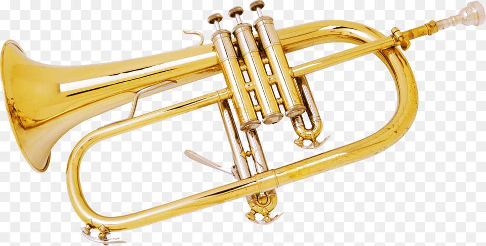 Image, Brass Section, Flugelhorn, Musical Instrument, Gun Free Png
