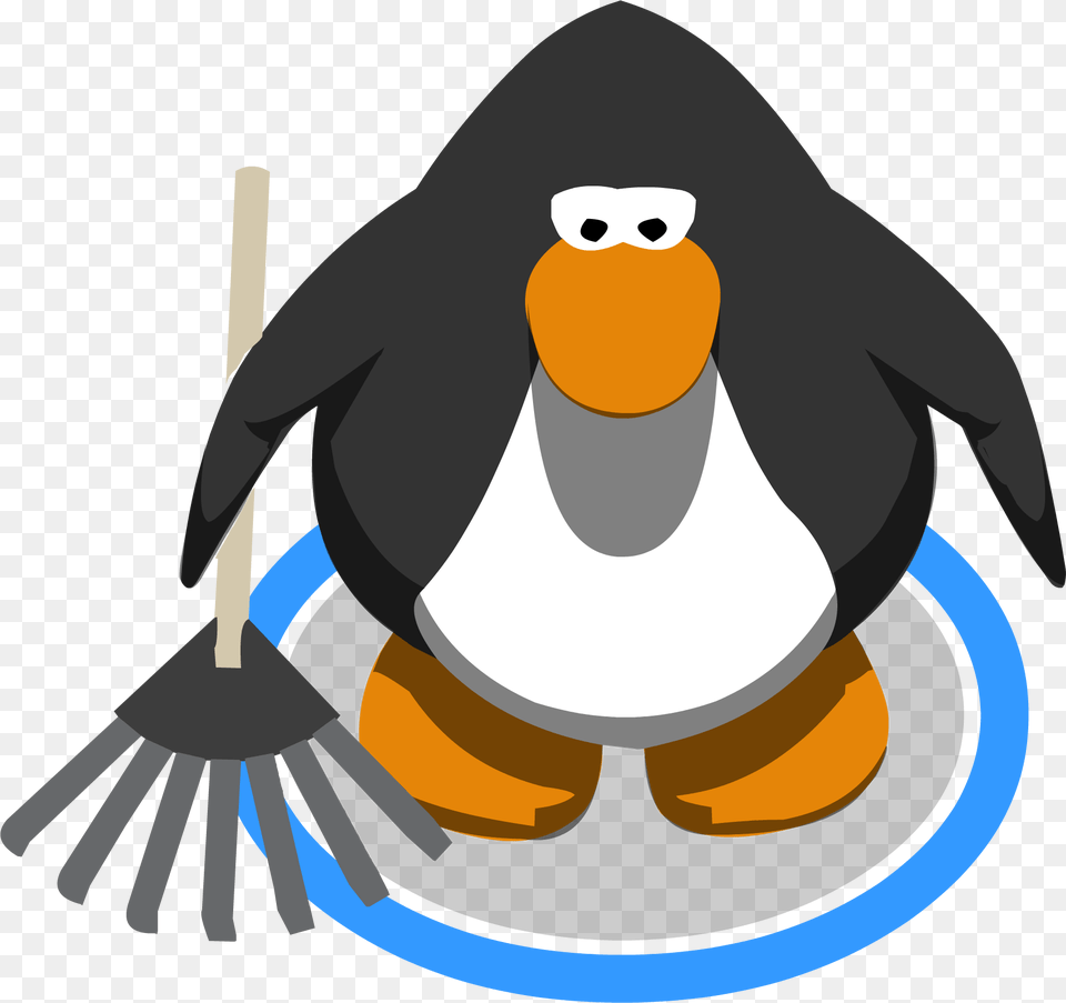 Image, Animal, Bird, Person, Penguin Png