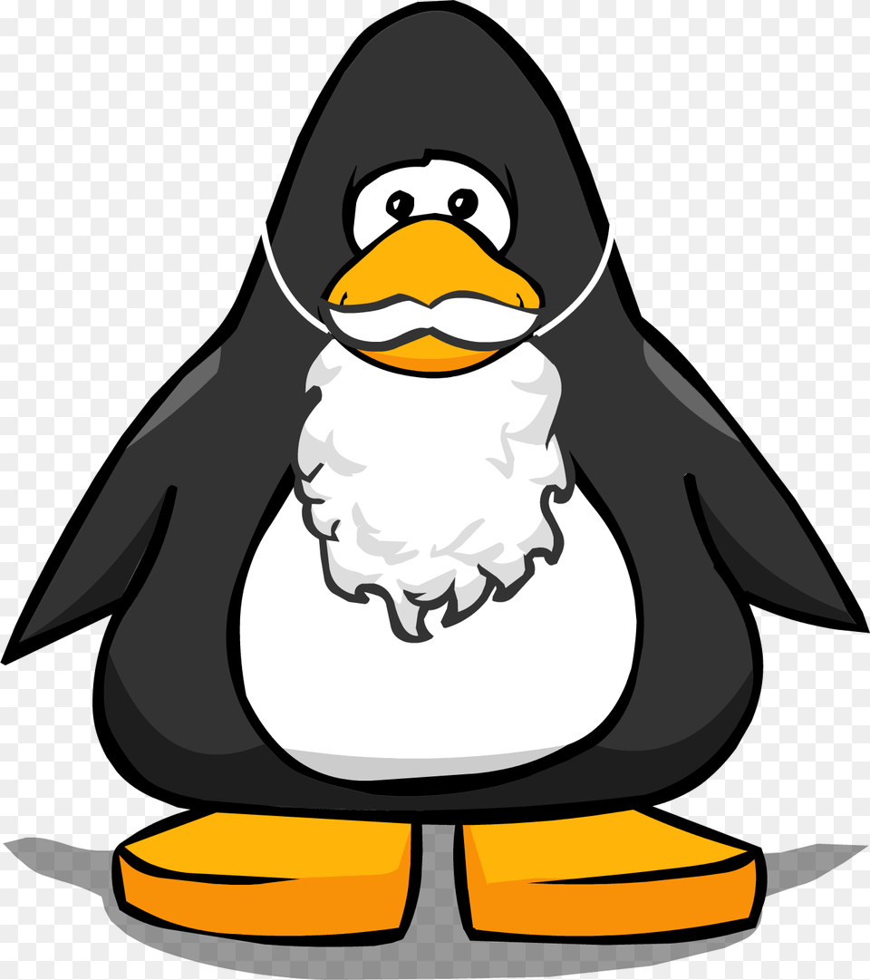 Image, Animal, Bird, Penguin, Baby Free Png Download