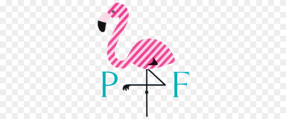 Image, Animal, Bird, Flamingo Free Transparent Png