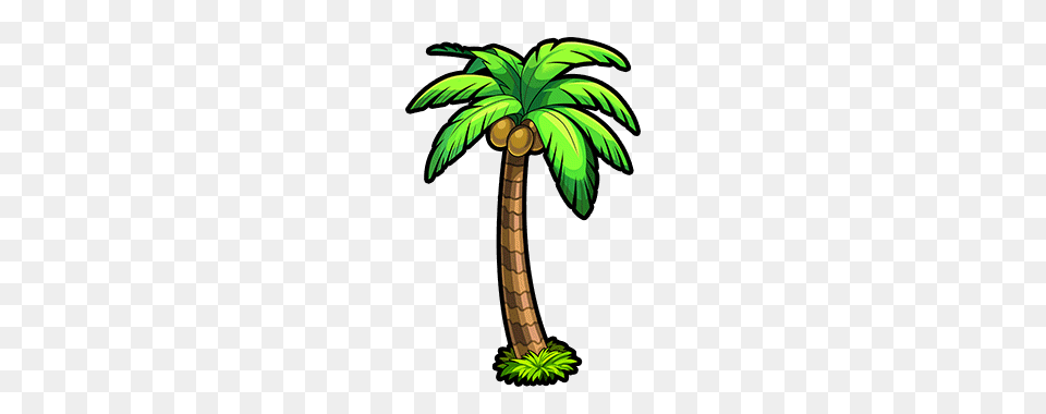 Palm Tree, Plant, Tree, Vegetation Png Image