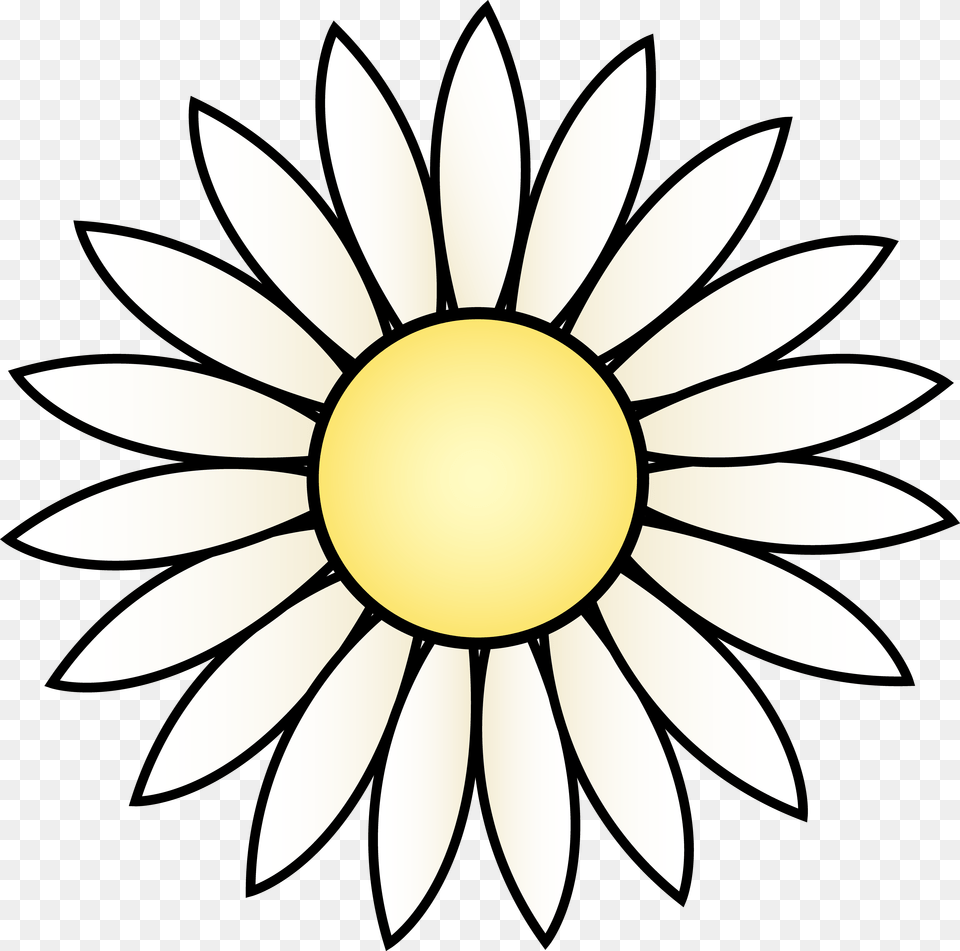 Image, Dahlia, Daisy, Flower, Plant Free Transparent Png