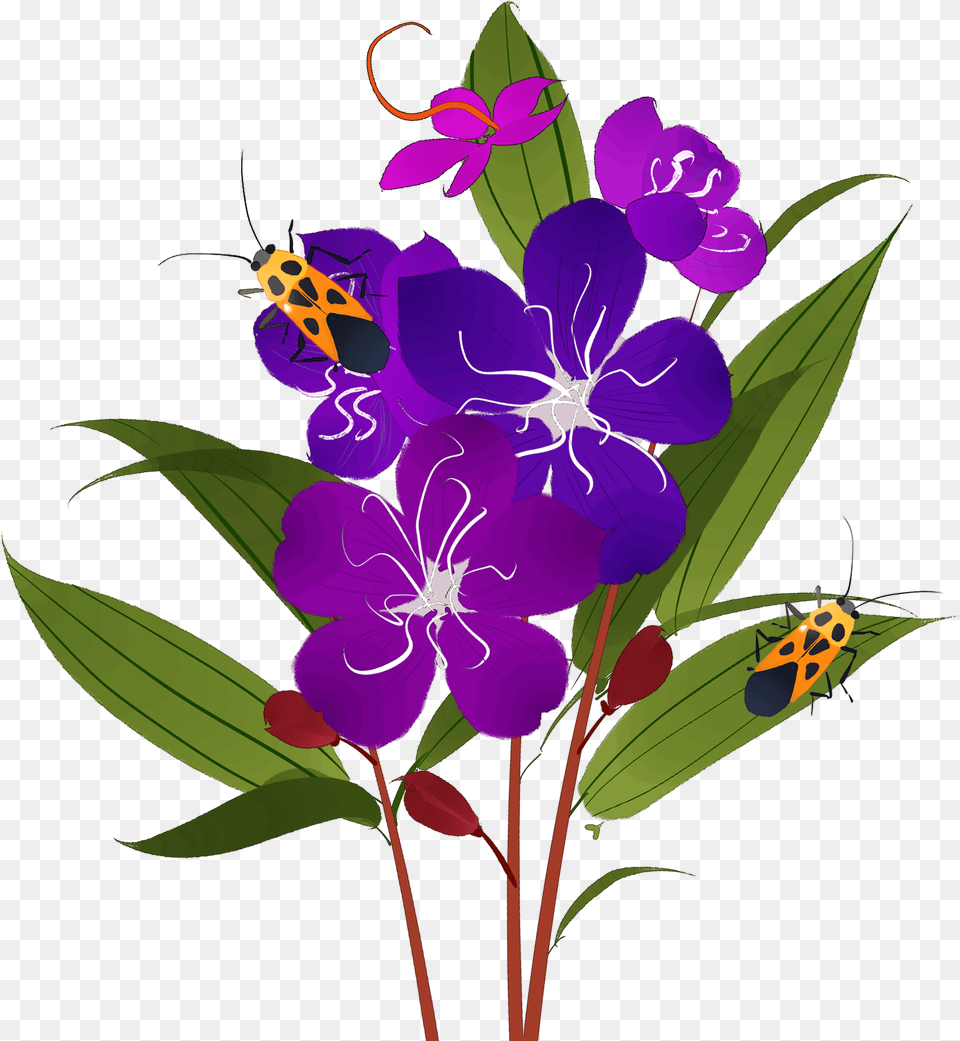 Image, Flower, Plant, Purple, Art Png