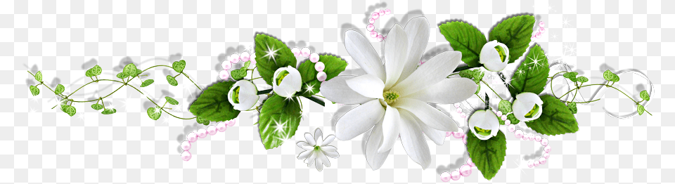 Image, Art, Floral Design, Flower, Flower Arrangement Free Transparent Png