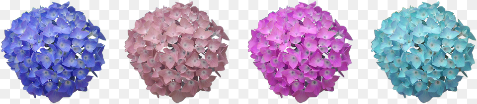 Image, Mineral, Sphere, Flower, Plant Png