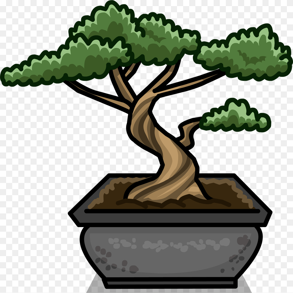 Image, Plant, Potted Plant, Tree, Bonsai Png