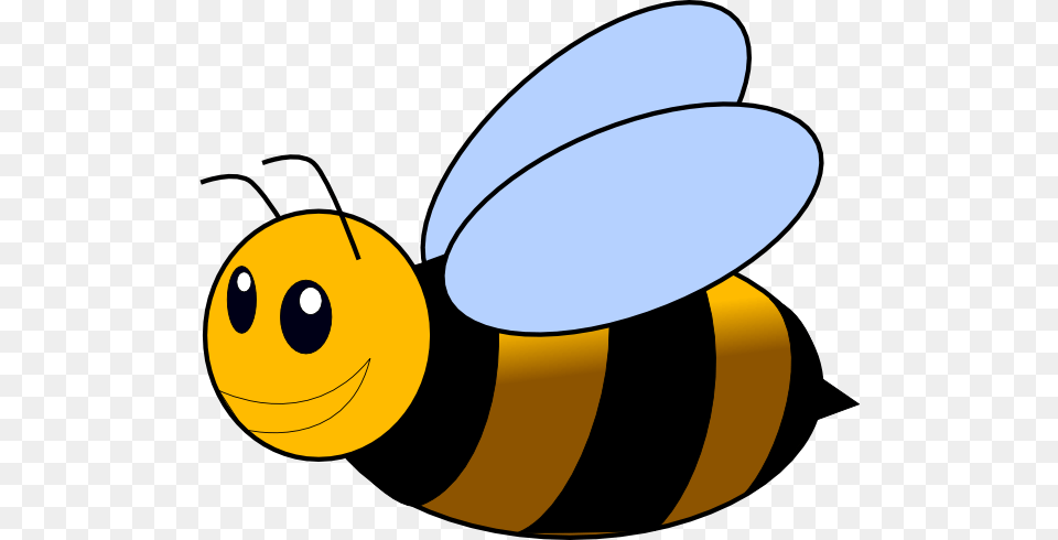 Image, Animal, Bee, Honey Bee, Insect Free Transparent Png