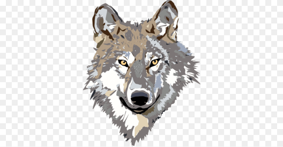 Image, Animal, Mammal, Wolf, Canine Free Png