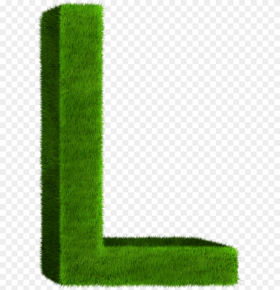 Grass, Green, Lawn, Plant Png Image