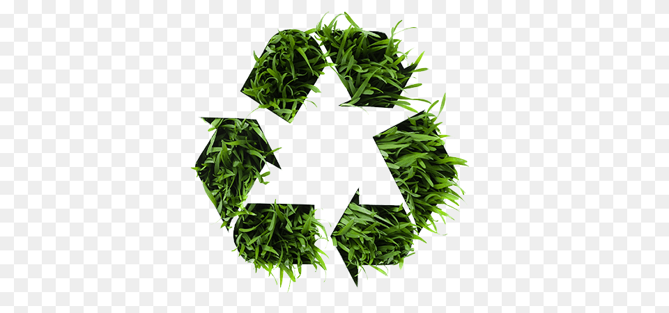 Image, Recycling Symbol, Symbol, Green, Plant Free Transparent Png