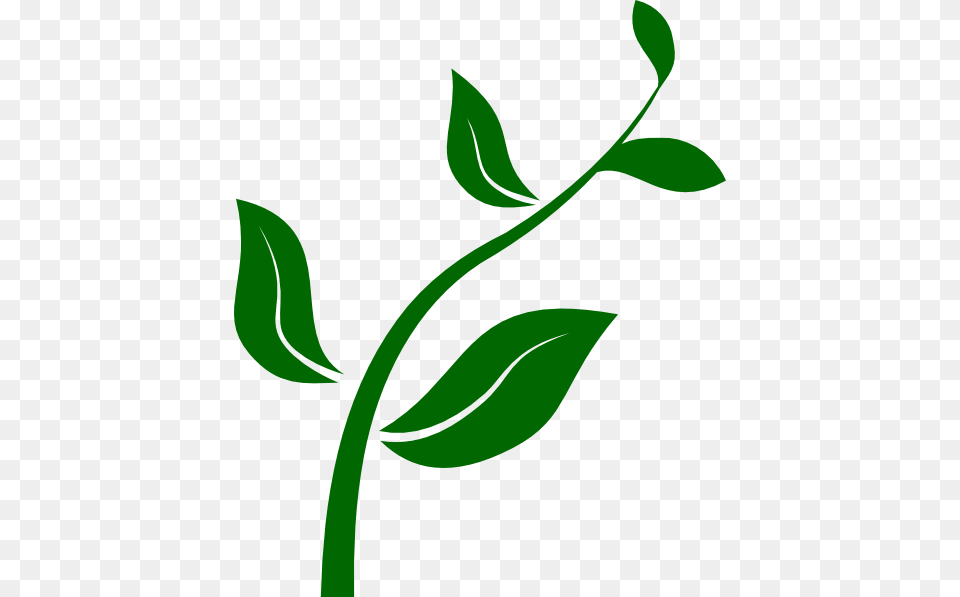 Image, Herbal, Plant, Leaf, Herbs Free Transparent Png