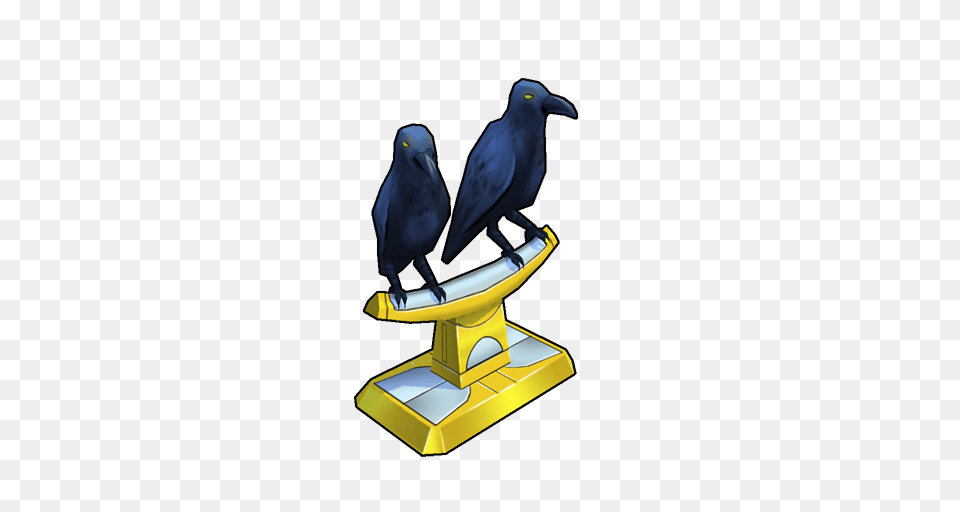 Image, Animal, Beak, Bird, Blackbird Free Png Download
