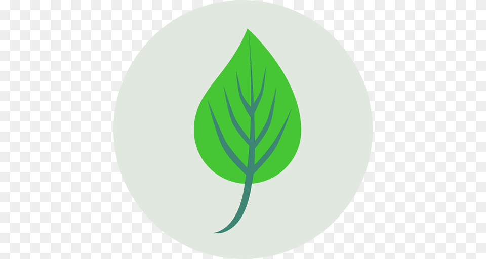 Image, Herbal, Herbs, Leaf, Plant Png