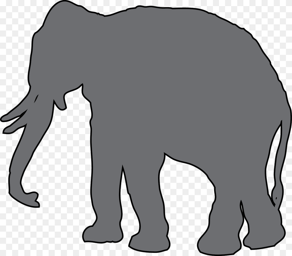 Image, Animal, Wildlife, Mammal, Baby Free Png
