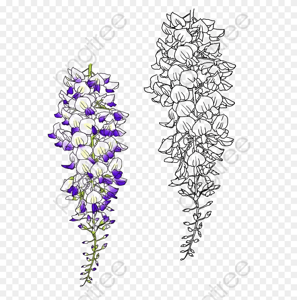 Image, Purple, Flower, Plant, Nature Free Png