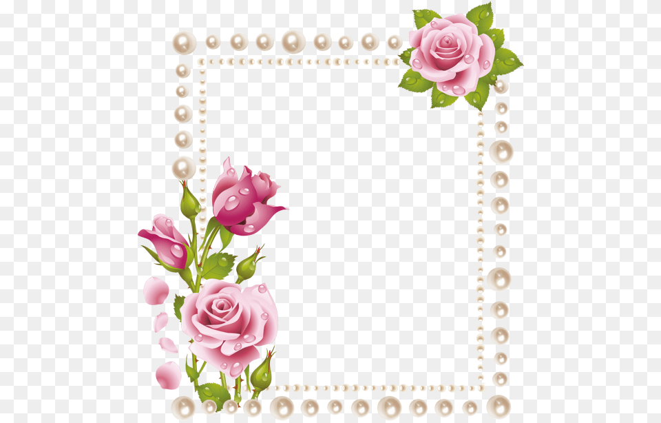 Image, Rose, Plant, Flower, Envelope Free Transparent Png