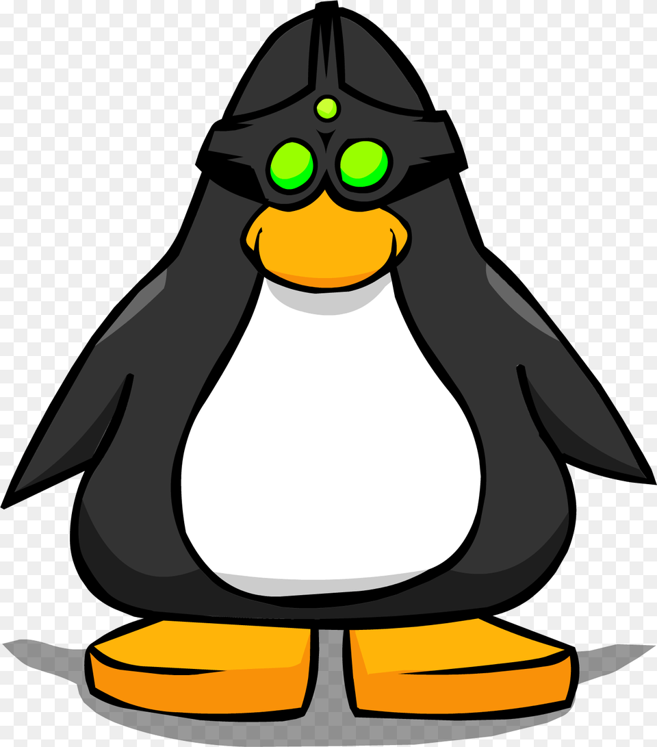 Image, Animal, Bird, Penguin, King Penguin Free Png