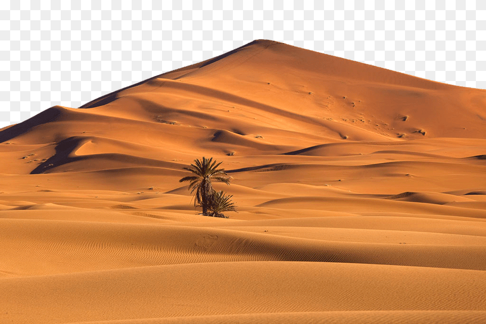 Image, Desert, Nature, Outdoors, Plant Free Png