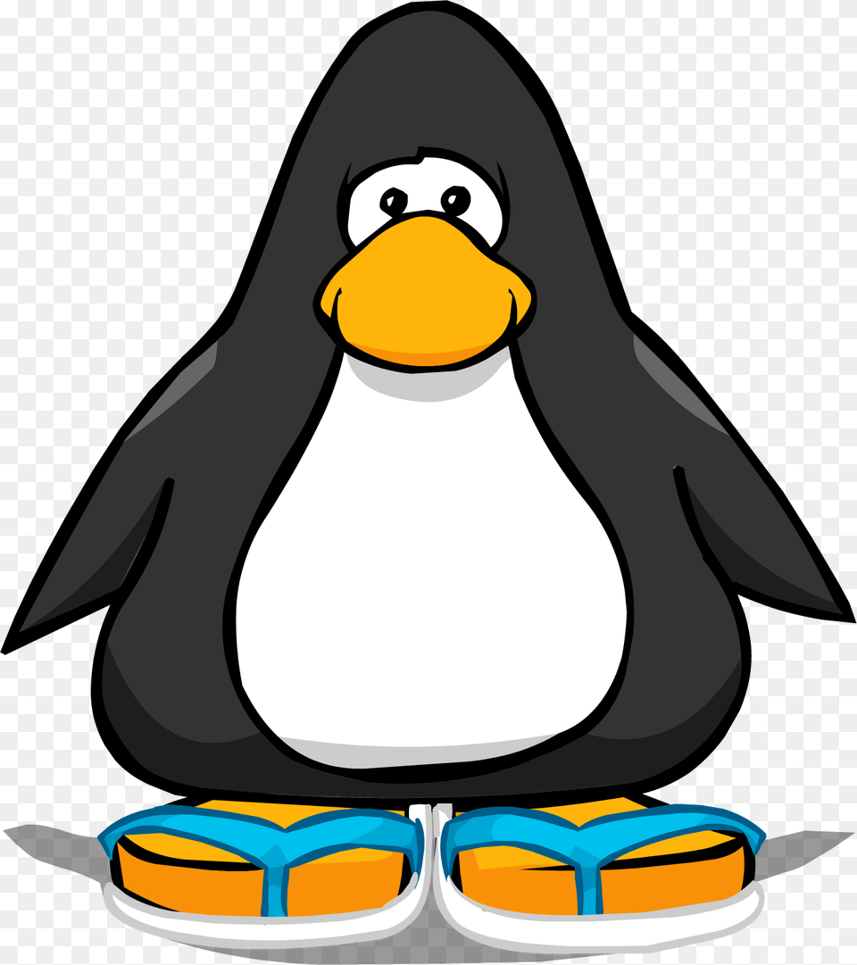 Animal, Bird, Penguin Png Image