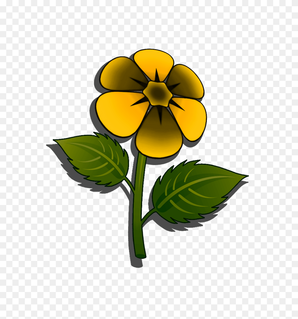 Image, Flower, Plant, Leaf, Petal Free Transparent Png