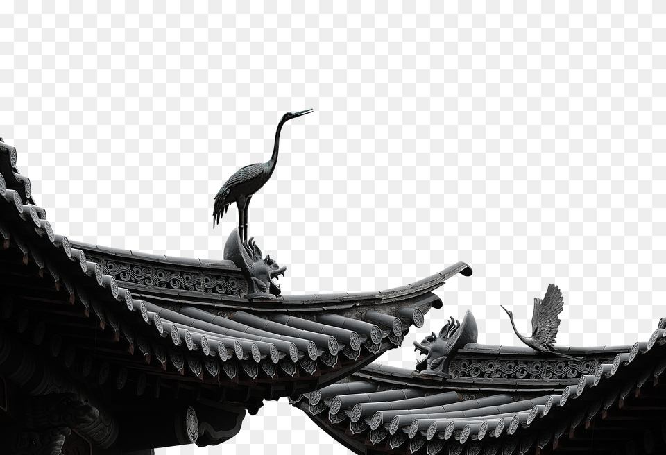  Png Image