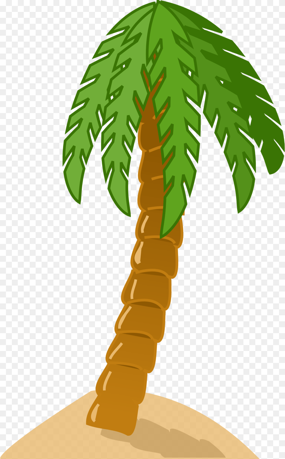 Image, Palm Tree, Plant, Tree, Person Free Transparent Png