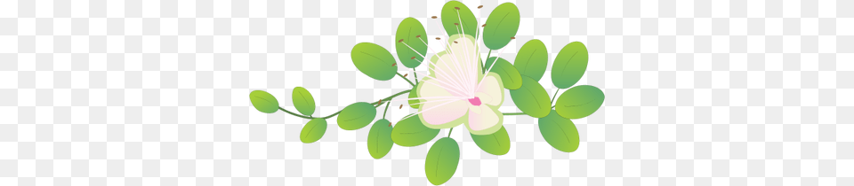 Image, Plant, Pattern, Leaf, Green Free Png