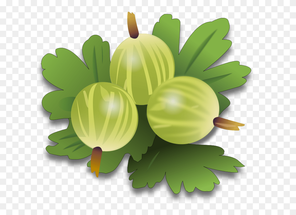 Image, Food, Fruit, Plant, Produce Png