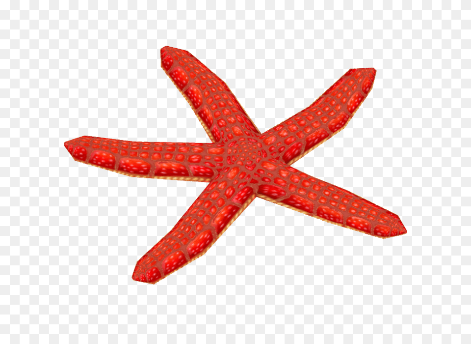 Image, Animal, Sea Life, Invertebrate, Starfish Png