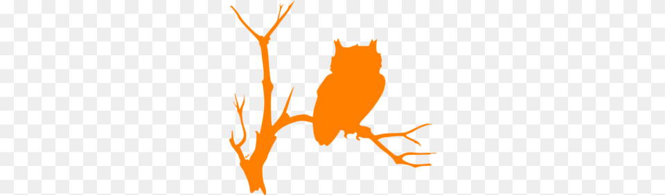 Image, Person, Animal, Bird Free Transparent Png