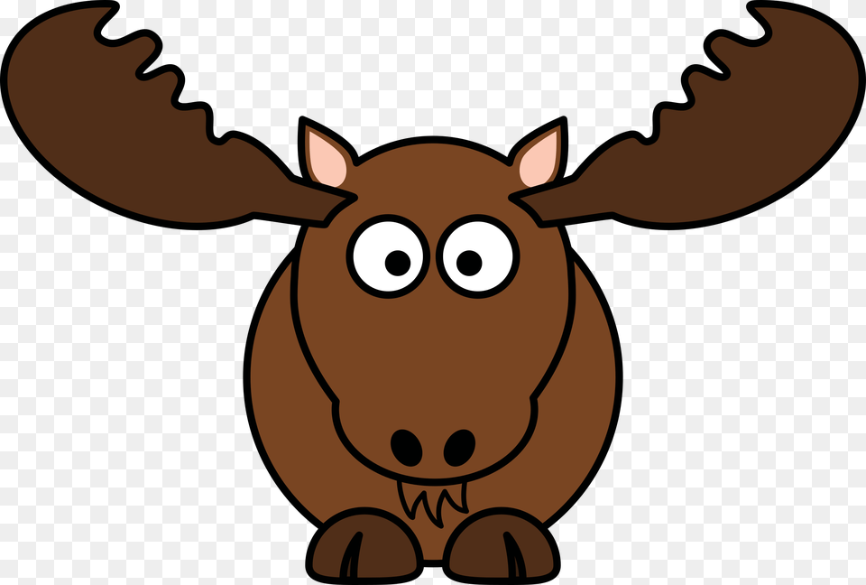 Image, Animal, Mammal, Baby, Person Png