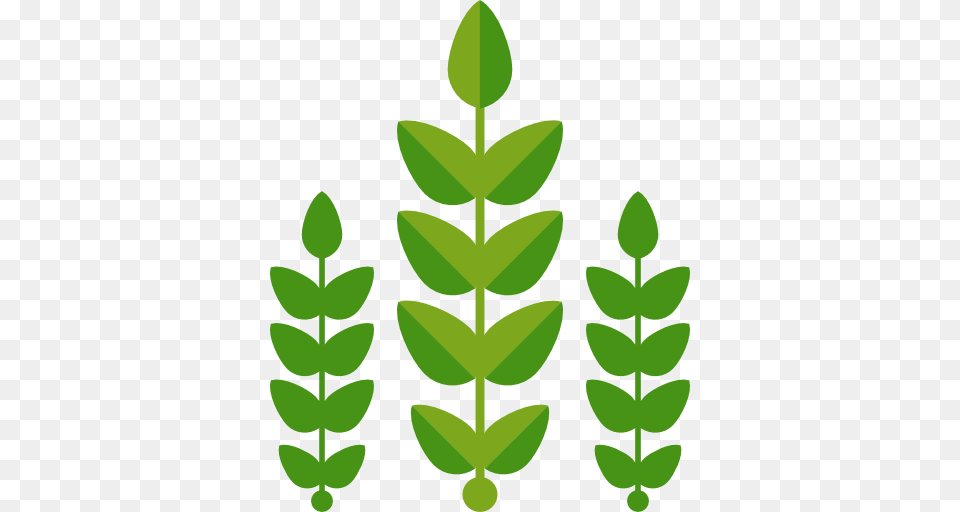 Image, Green, Herbal, Herbs, Leaf Free Png