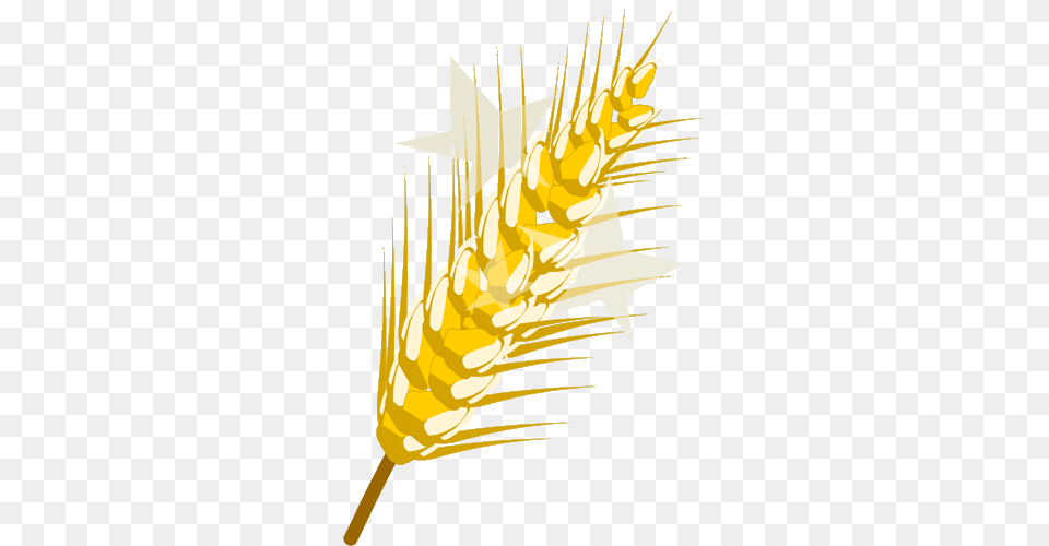 Image, Food, Grain, Produce, Wheat Free Png