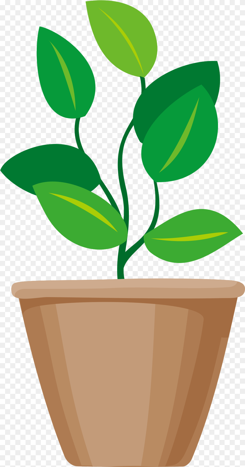 Herbal, Herbs, Leaf, Plant Png Image