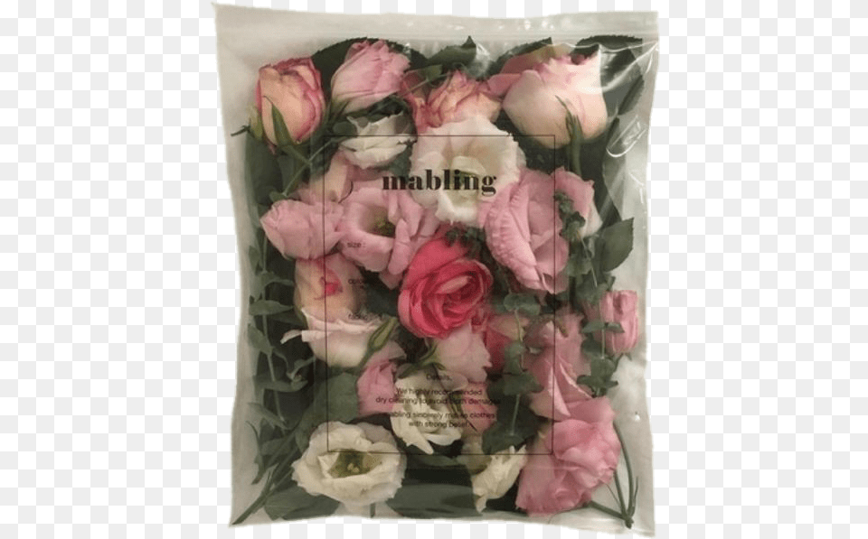 Image, Cushion, Flower, Flower Arrangement, Flower Bouquet Free Transparent Png