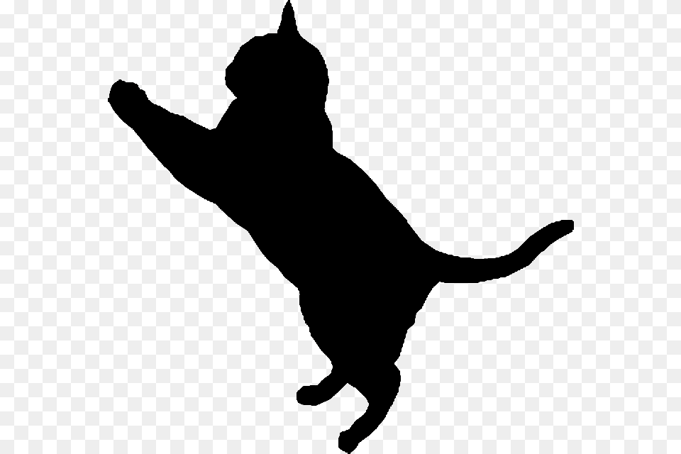 Silhouette, Animal, Pet, Cat Png Image