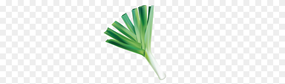 Image, Food, Leek, Plant, Produce Free Transparent Png