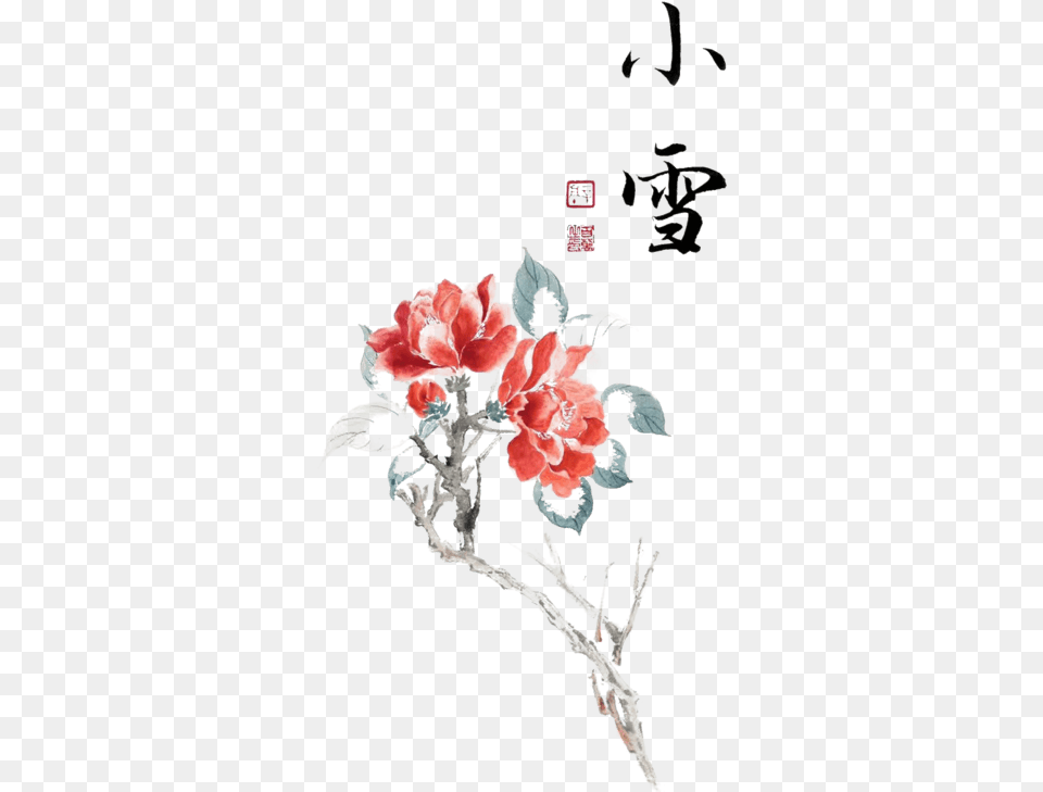 Image, Carnation, Flower, Plant, Petal Png
