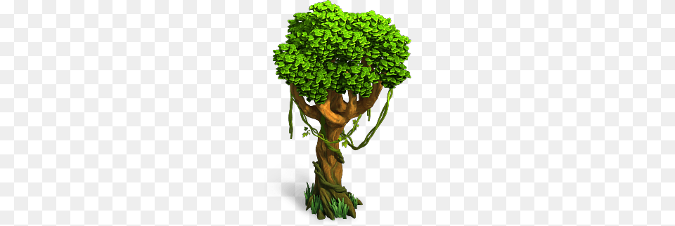 Potted Plant, Tree, Green, Plant Png Image