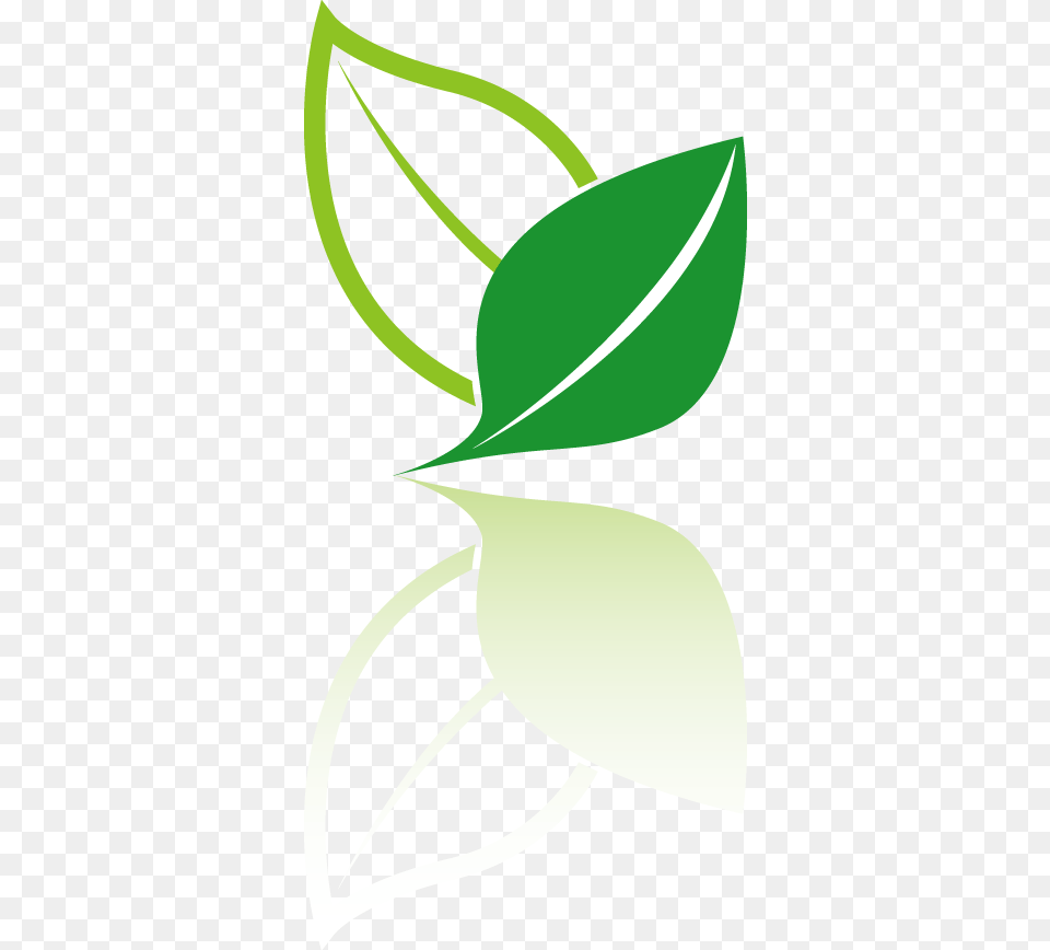 Image, Sprout, Bud, Plant, Flower Free Png Download