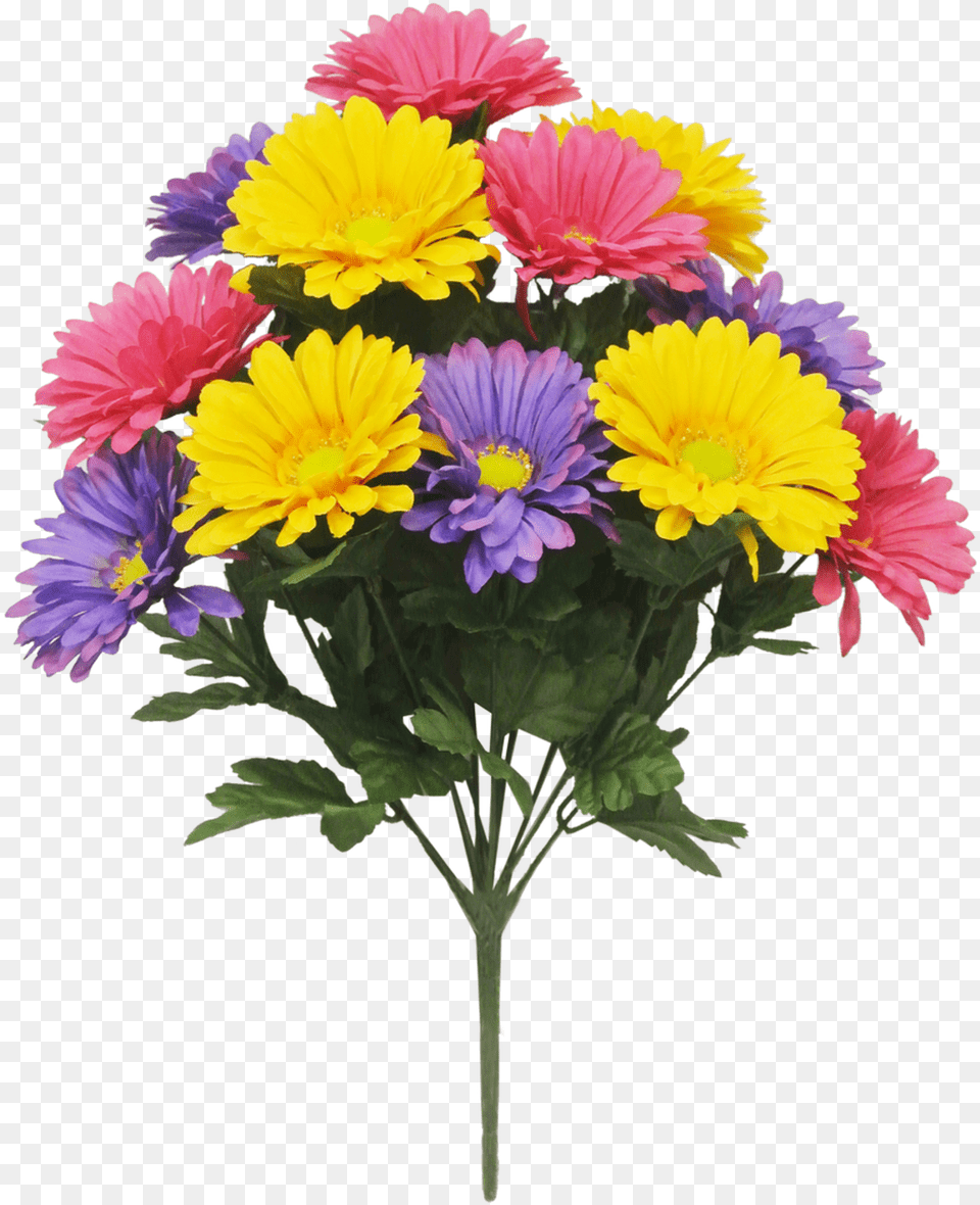 Image, Daisy, Flower, Flower Arrangement, Flower Bouquet Free Png