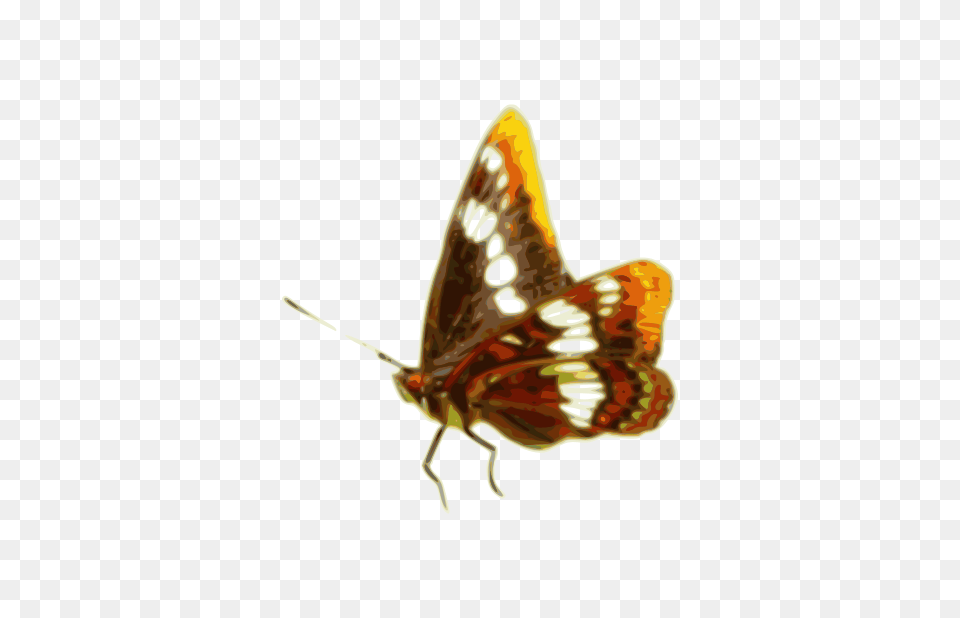 Image, Animal, Insect, Invertebrate, Butterfly Free Png