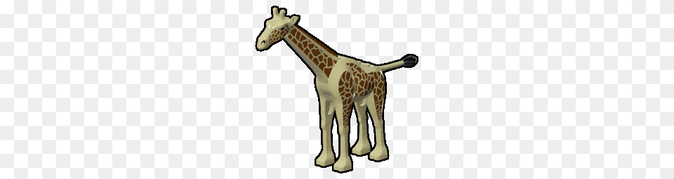 Image, Animal, Giraffe, Mammal, Wildlife Png