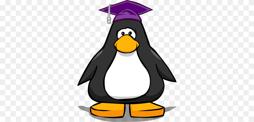 People, Person, Graduation, Animal Png Image