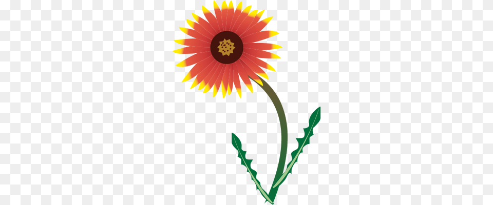 Daisy, Flower, Plant, Sunflower Png Image