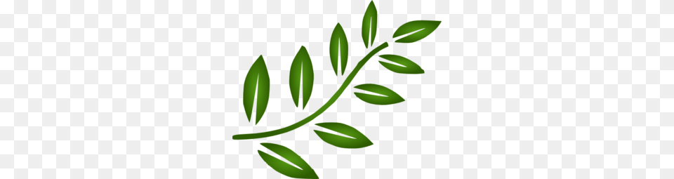 Image, Herbs, Plant, Leaf, Green Free Png Download