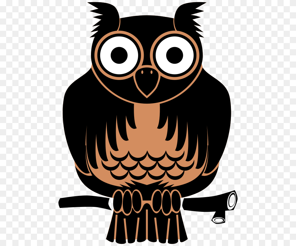 Person, Animal, Bird, Owl Png Image